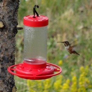 Meet your Posher, Laurie